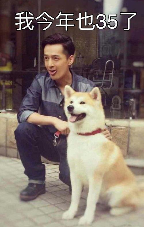 娱乐吃瓜君胡歌,娱乐圈的吃瓜传奇,揭秘明星背后的故事